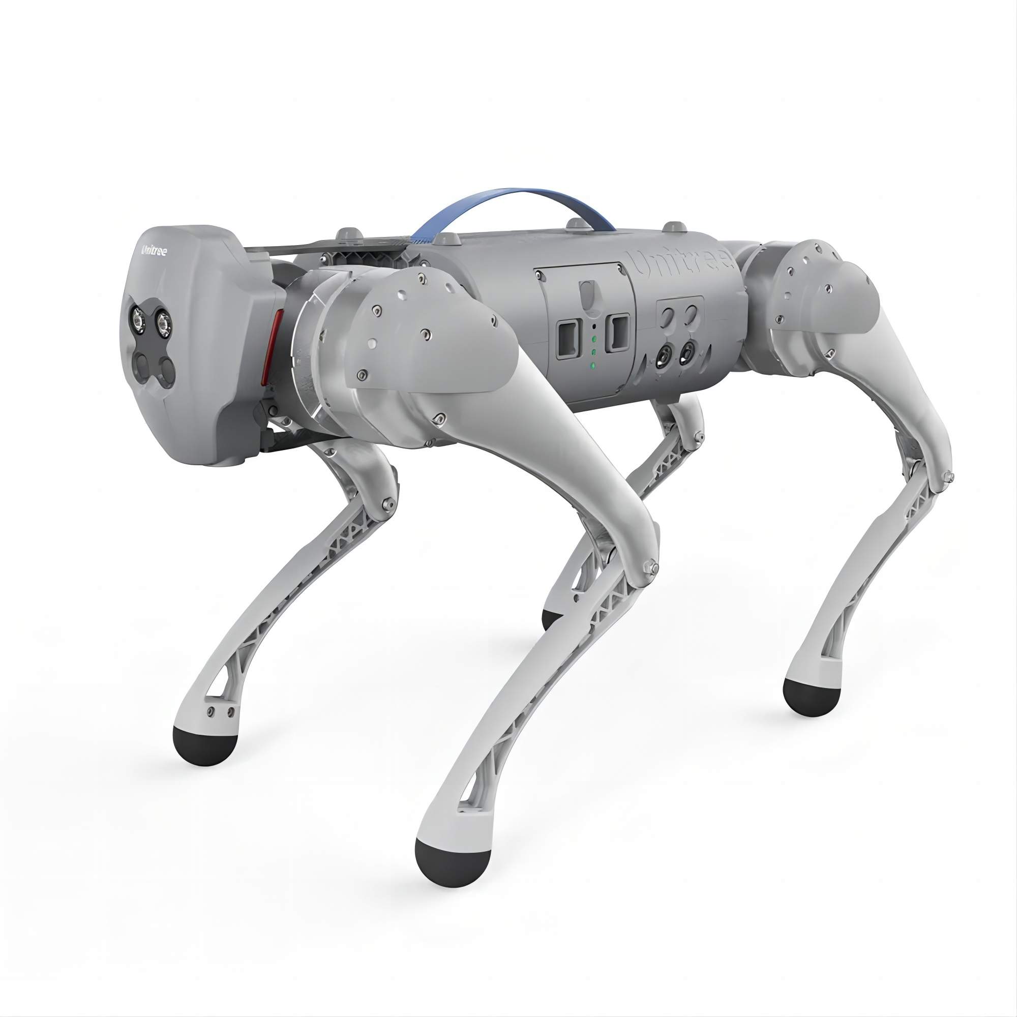 anjing robot